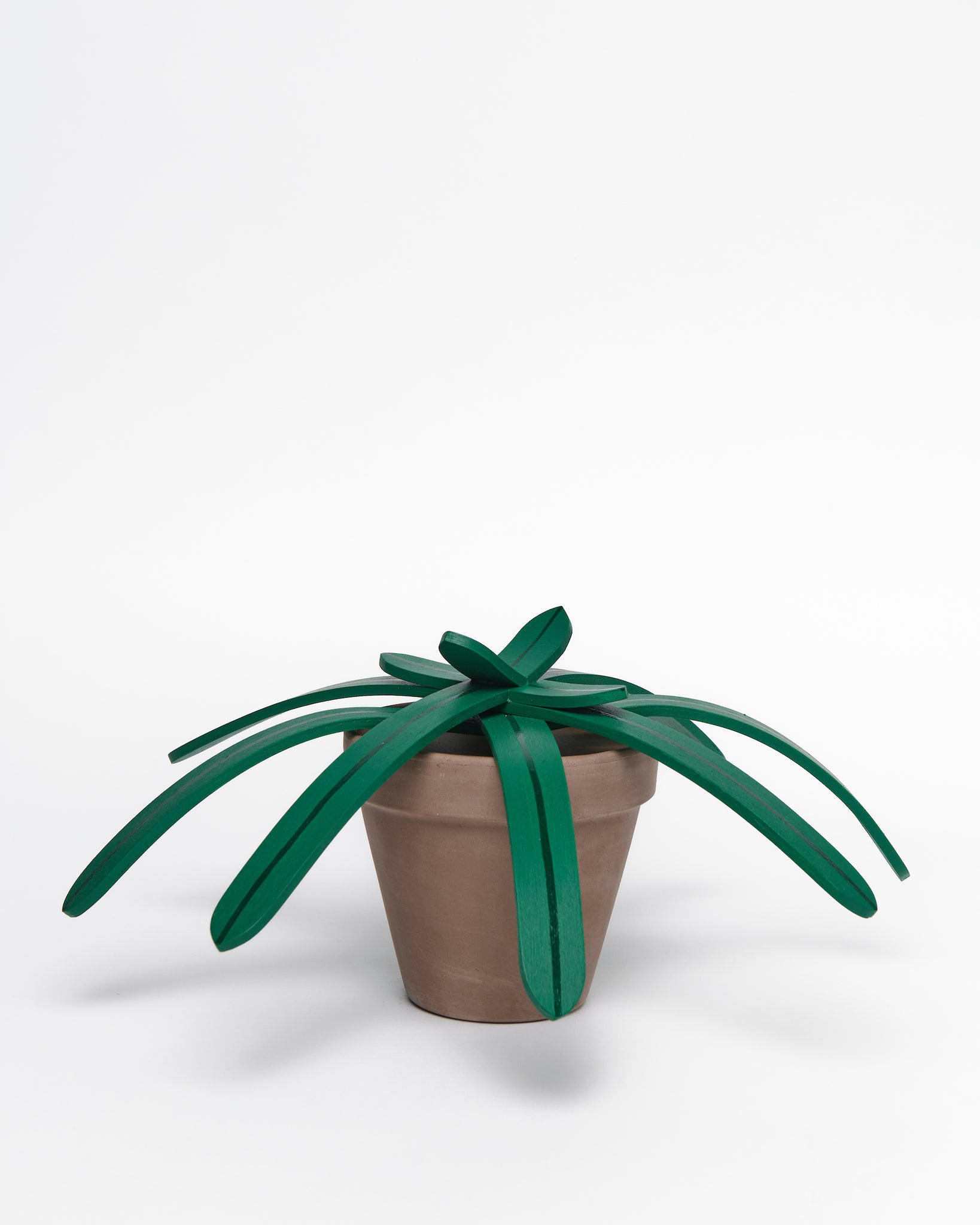 Wooden sculpture of plants with many leafs in terracotta pot 