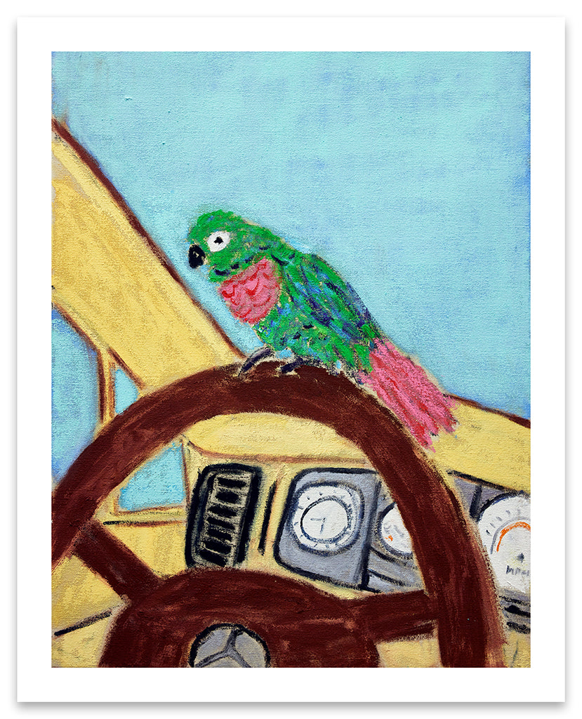 Michael McGregor print of small colorful bird on the steering wheel of a car 