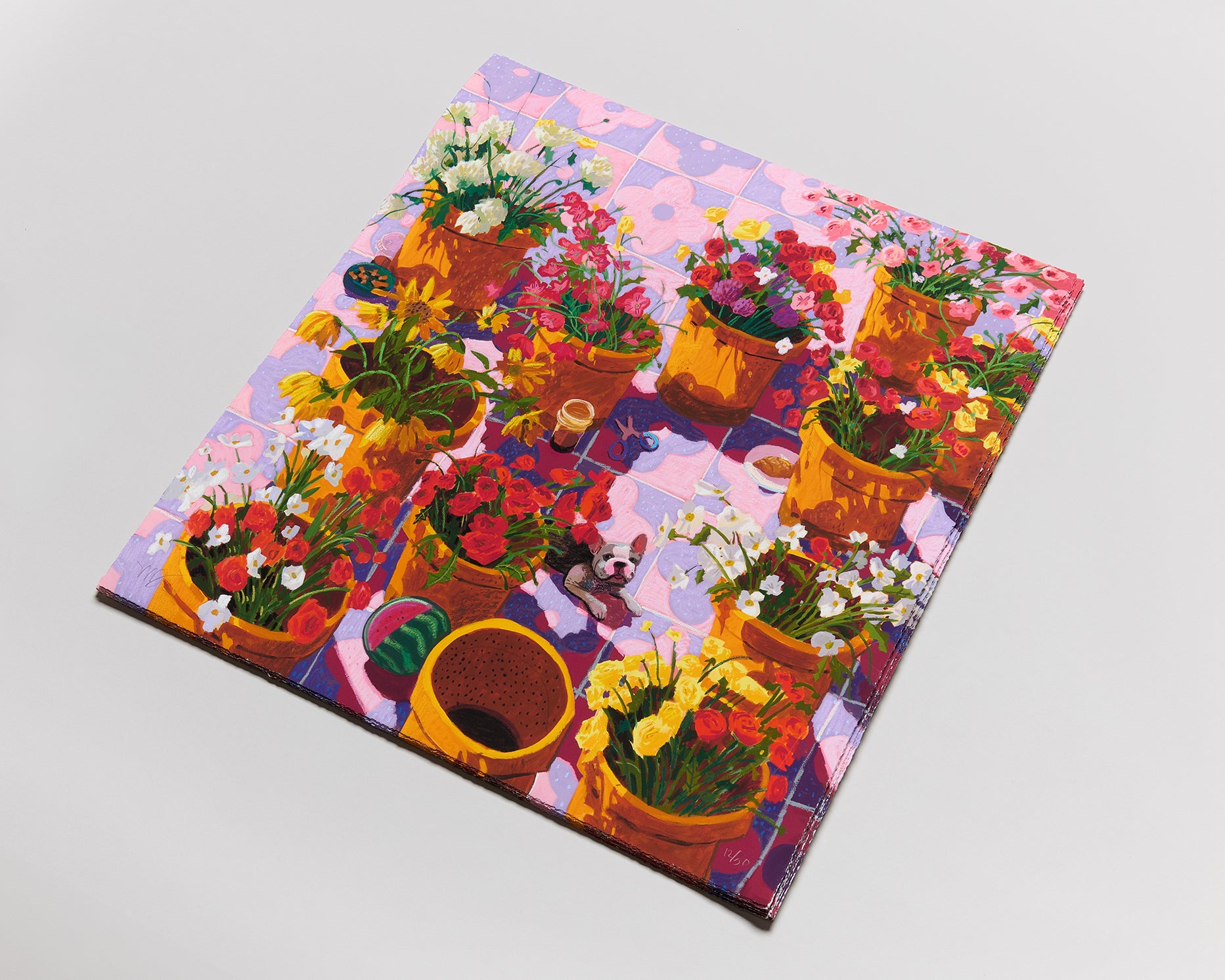 life with flowers 完売 Amazon.com: Castorland Puzzle Still Life with Flowers and Fruit