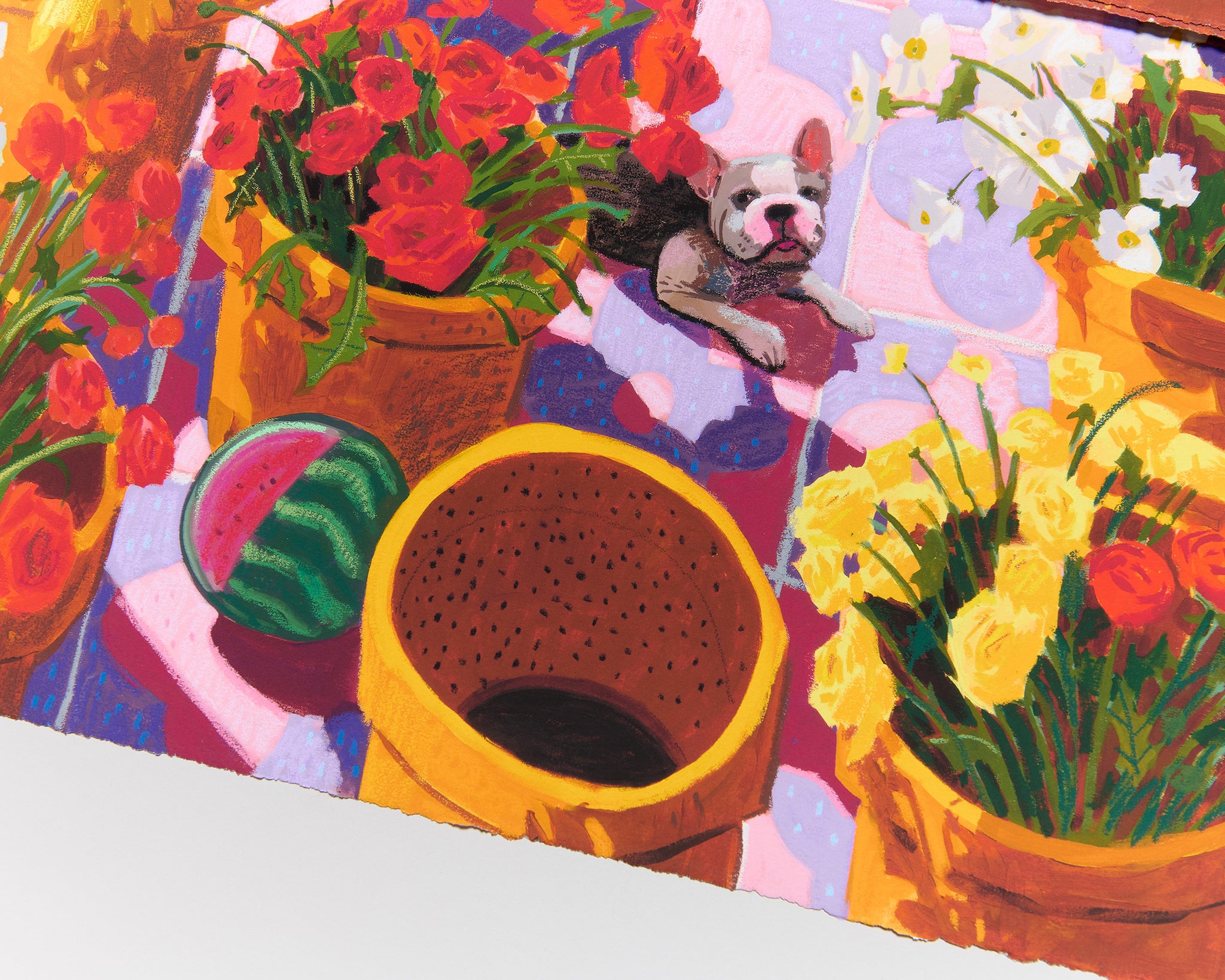 Nicholas Bono Kennedy - flower pots filled with colorful flowers on pink and purple tiles